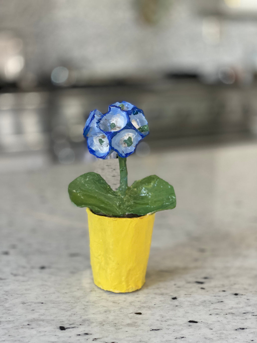 Dana Gibson Blue Primula  Pot
